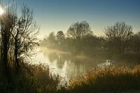 Kreek in de mist