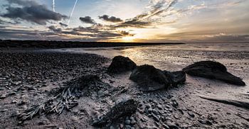 l'infini sur les bancs de marée