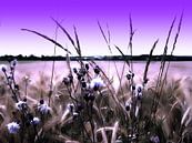 LANDSCHAP IN PAARS van M.A. Ziehr thumbnail