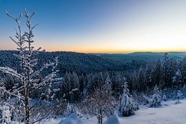 Winter im Schwarzwald von Werner Dieterich