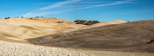 Hilly landscape of Tuscany by Achim Thomae Photography
