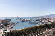 Aperçu du port de Malaga en Espagne par Marianne van der Zee Aperçu