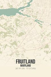 Vintage map of Fruitland (Maryland), USA. by Prints of Place