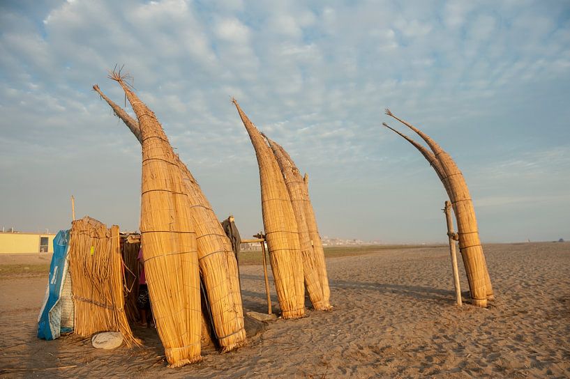 Caballitos de totora von Richard Wareham