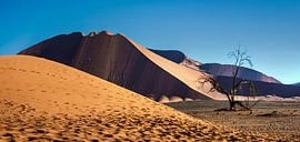 Dunes landscape by Alex Neumayer