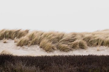Dunes in the Westduinpark in Scheveningen by Anne Zwagers