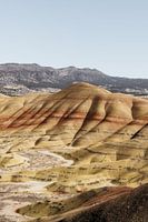 Gekleurde heuvels in Oregon, Amerika
