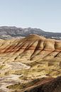 Collines colorées dans l'Oregon, Amérique par Myrthe Slootjes Aperçu