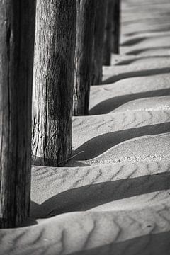 Rythme des dunes sur Peter Hendriks