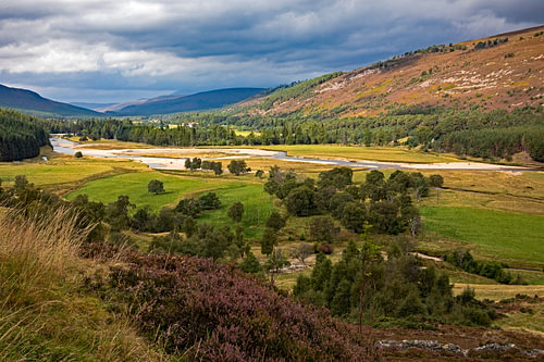 Mar Lodge Estate, Braemar, Aberdeenshire, Scotland, UK
