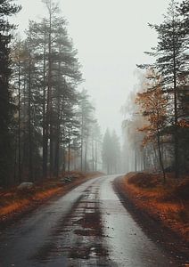 Herbstspaziergang im Nebel