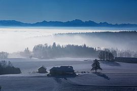 Foggy Mood by Rudolf Brandstätter