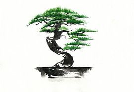 Bonsai by Jitka Krause