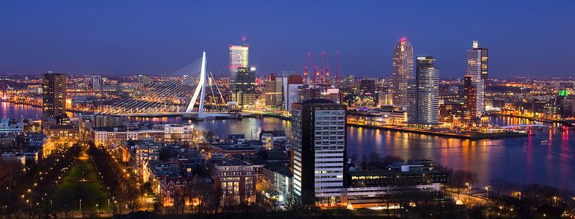 Skyline Rotterdam van Vincent van Kooten