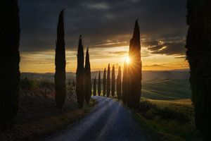 Coucher de soleil parmi les cyprès, Toscane