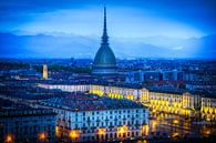 Blue Hour Majesty: Turin and the Mole Antonelliana by Bart Ros thumbnail