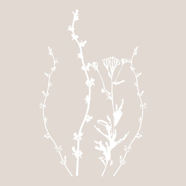 Botanica Delicata. Abstract Retro Botanical in light beige by Dina Dankers