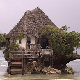 The Rock      Zanzibar van Fer Hendriks