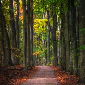 Follow the road. Follow the road... by Henk Pijnappels