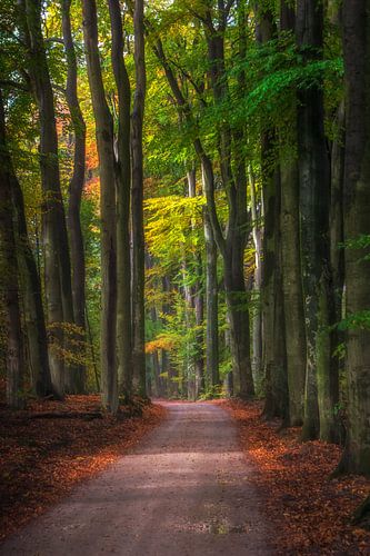 Follow the road......