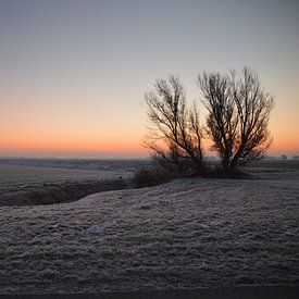 Holland winter landschap von Rico Drost