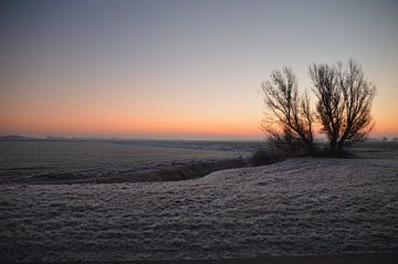 Holland winter landschap van Rico Drost