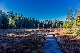 Herfstwandeling op de hoogten van het Thüringer Wald van Oliver Hlavaty
