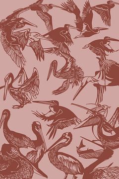 Pelikanen | Tekening | Roze | Vogels van Jansje Kamphuis