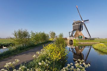 Le printemps au moulin de Streefkerk sur Charlene van Koesveld