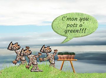 “C’mon you pots of green.” van Grüntyers .