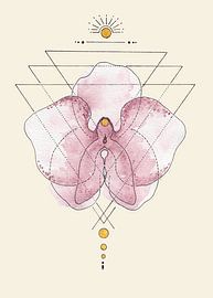 grafische Orchidee, femininer Fokus. von Kirsten Jense Illustraties.
