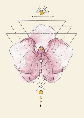 grafische orchidee, feminine focus.