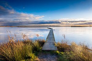 Boardwalk in the Roegwold, in central Groningen