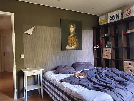 Frau Sabasa Garcia, Francisco de Goya