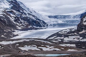 Athabasca Glacier van Franksfotoforum
