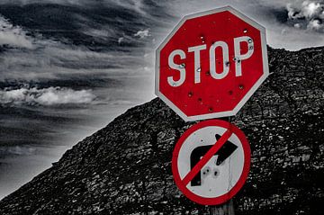 Stop à la violence : maintenant ! Partout ! sur images4nature by Eckart Mayer Photography