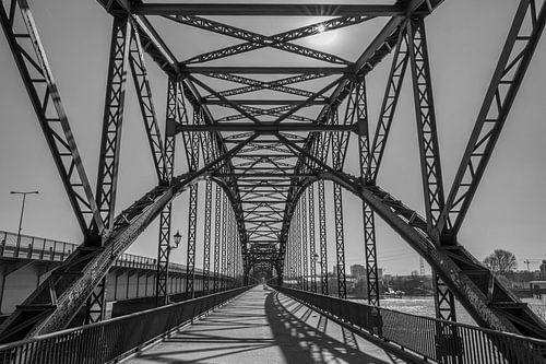 Zeitlose Bögen an der Elbe