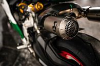 Akrapovic on a Ducati 1299 Panigale R Final Edition by Bas Fransen thumbnail