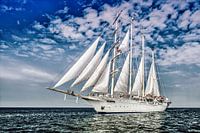 Sail away