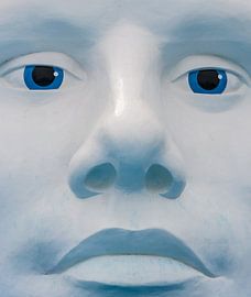 The Face by Brian Morgan