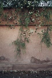 flowers by Lieke Caminada