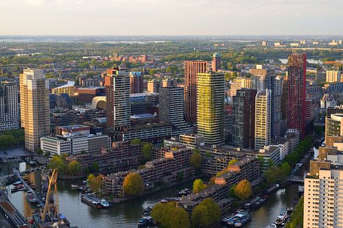 Blick auf den Wijnhaven Rotterdam im goldenen Licht des Sonnenuntergangs