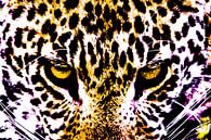 De blik van een luipaard - een artistieke bewerking van Sharing Wildlife thumbnail