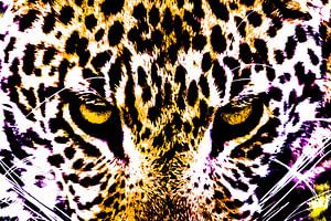 De blik van een luipaard - een artistieke bewerking van Sharing Wildlife