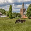 De kerk van Lathum (Gelderland) van Karlo Bolder