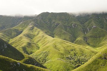 Garden Route Südafrika von Jan Nuboer