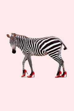 Zebra Heels von Jonas Loose