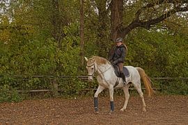 white horse and rider training on a riding arena