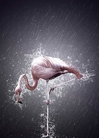 La pose by Catherine Fortin