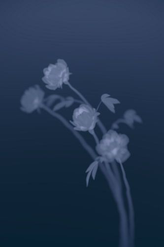 Into Deep Floral Blue 2